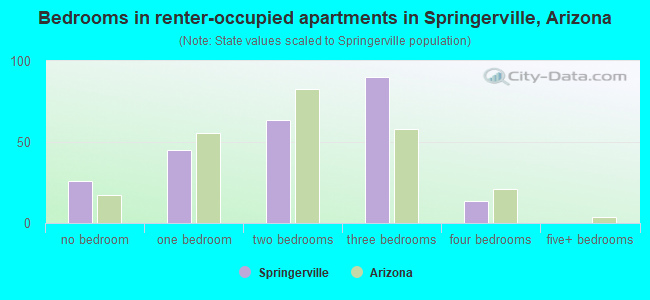 Bedrooms in renter-occupied apartments in Springerville, Arizona