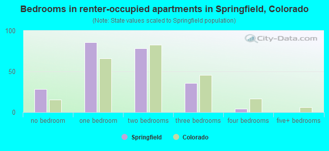 Bedrooms in renter-occupied apartments in Springfield, Colorado