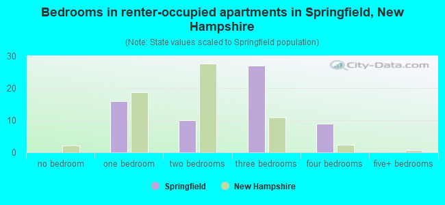 Bedrooms in renter-occupied apartments in Springfield, New Hampshire