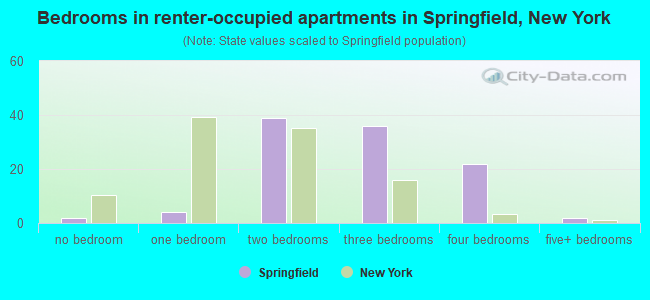 Bedrooms in renter-occupied apartments in Springfield, New York
