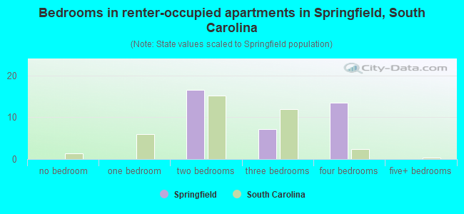 Bedrooms in renter-occupied apartments in Springfield, South Carolina