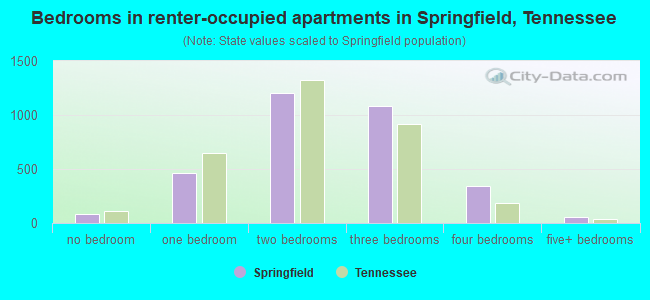 Bedrooms in renter-occupied apartments in Springfield, Tennessee