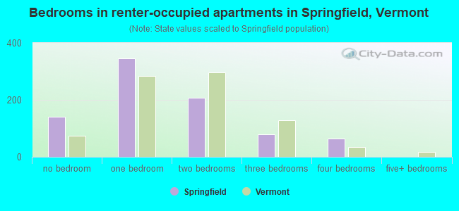 Bedrooms in renter-occupied apartments in Springfield, Vermont