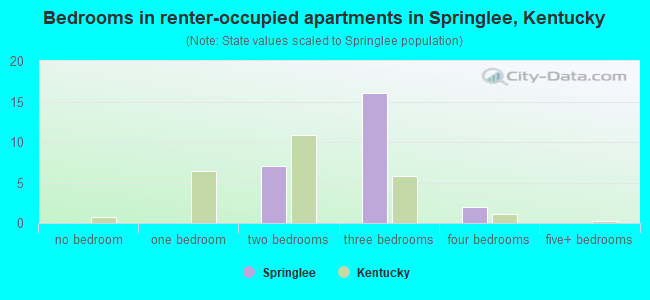 Bedrooms in renter-occupied apartments in Springlee, Kentucky