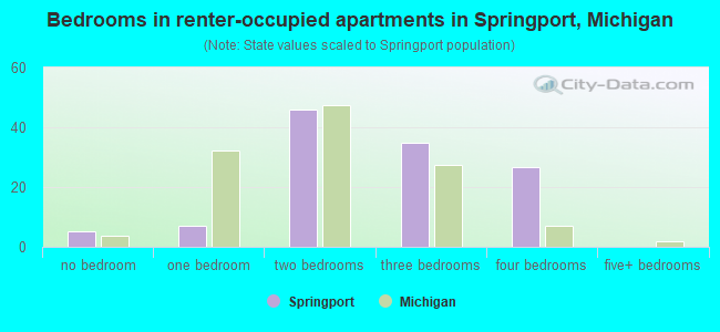 Bedrooms in renter-occupied apartments in Springport, Michigan
