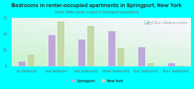 Bedrooms in renter-occupied apartments in Springport, New York