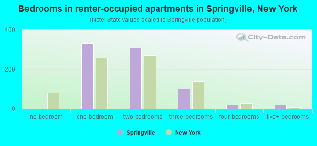 Bedrooms in renter-occupied apartments in Springville, New York