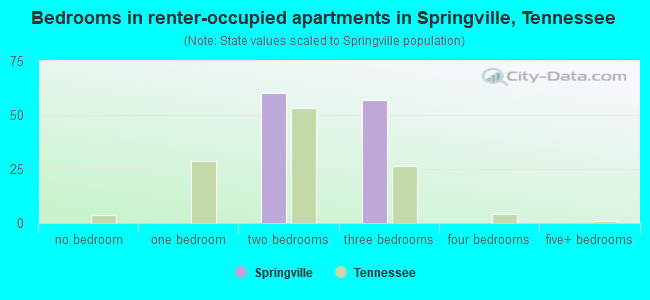 Bedrooms in renter-occupied apartments in Springville, Tennessee