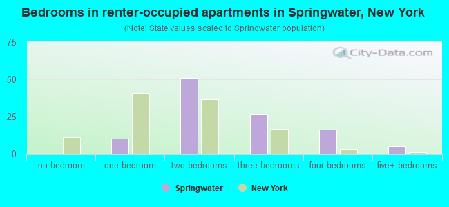 Bedrooms in renter-occupied apartments in Springwater, New York