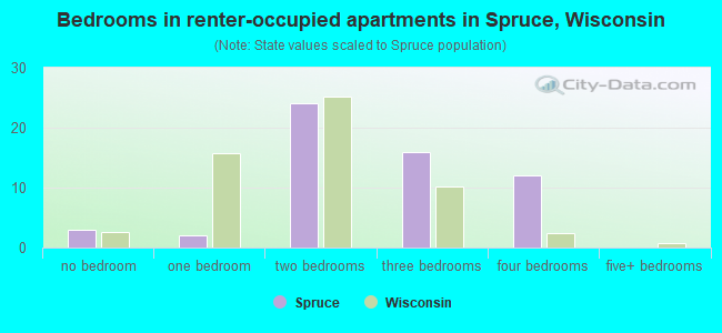 Bedrooms in renter-occupied apartments in Spruce, Wisconsin