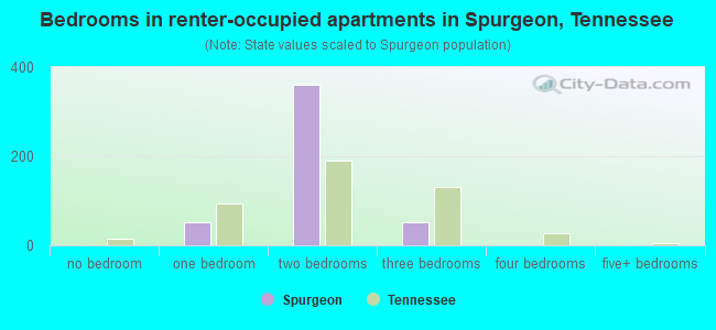 Bedrooms in renter-occupied apartments in Spurgeon, Tennessee