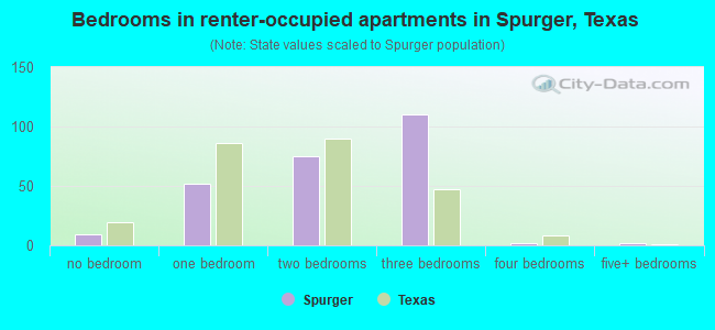 Bedrooms in renter-occupied apartments in Spurger, Texas