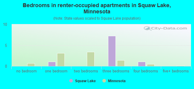 Bedrooms in renter-occupied apartments in Squaw Lake, Minnesota