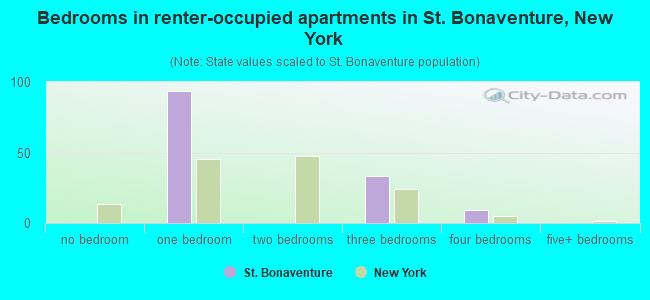 Bedrooms in renter-occupied apartments in St. Bonaventure, New York