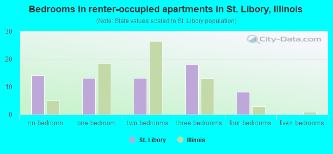 Bedrooms in renter-occupied apartments in St. Libory, Illinois