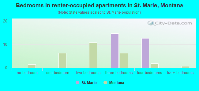 Bedrooms in renter-occupied apartments in St. Marie, Montana