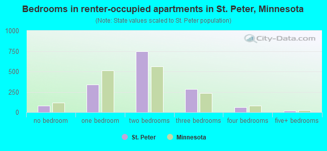 Bedrooms in renter-occupied apartments in St. Peter, Minnesota