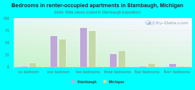 Bedrooms in renter-occupied apartments in Stambaugh, Michigan
