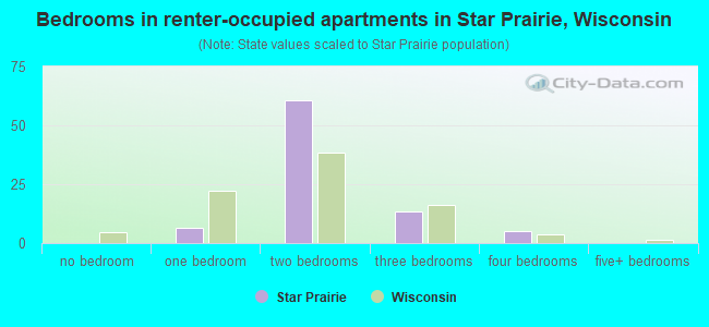 Bedrooms in renter-occupied apartments in Star Prairie, Wisconsin