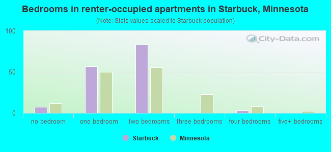 Bedrooms in renter-occupied apartments in Starbuck, Minnesota