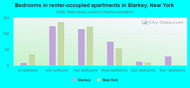 Bedrooms in renter-occupied apartments in Starkey, New York