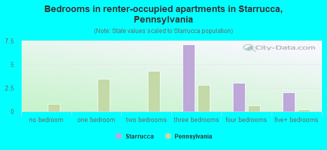 Bedrooms in renter-occupied apartments in Starrucca, Pennsylvania