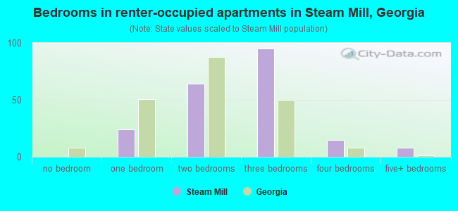 Bedrooms in renter-occupied apartments in Steam Mill, Georgia