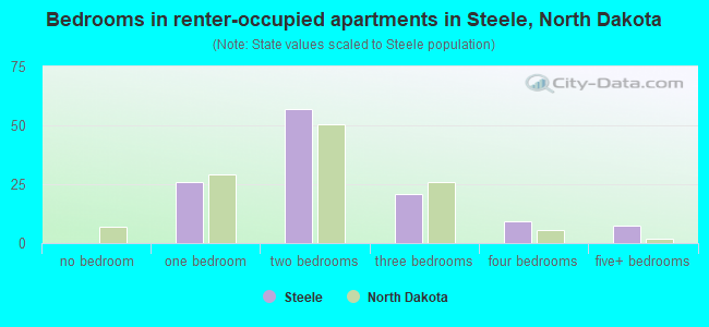 Bedrooms in renter-occupied apartments in Steele, North Dakota