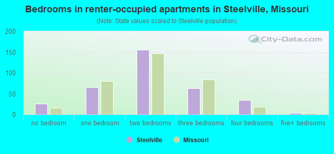 Bedrooms in renter-occupied apartments in Steelville, Missouri
