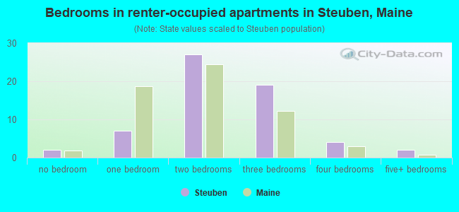 Bedrooms in renter-occupied apartments in Steuben, Maine