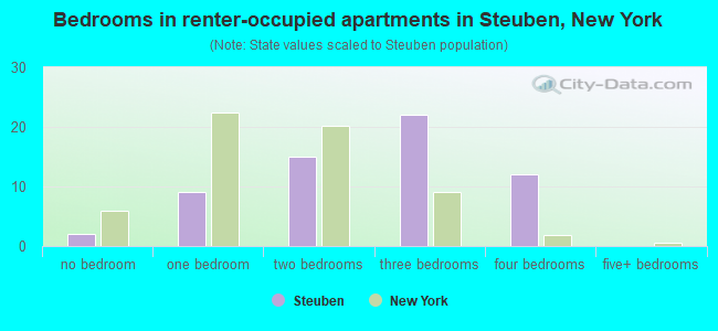 Bedrooms in renter-occupied apartments in Steuben, New York
