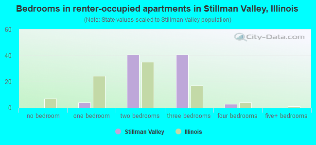 Bedrooms in renter-occupied apartments in Stillman Valley, Illinois