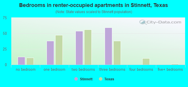 Bedrooms in renter-occupied apartments in Stinnett, Texas