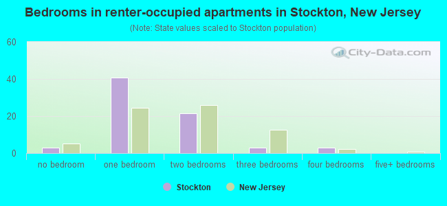 Bedrooms in renter-occupied apartments in Stockton, New Jersey