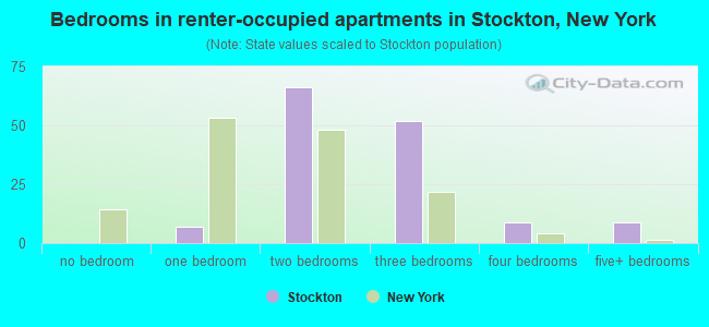 Bedrooms in renter-occupied apartments in Stockton, New York