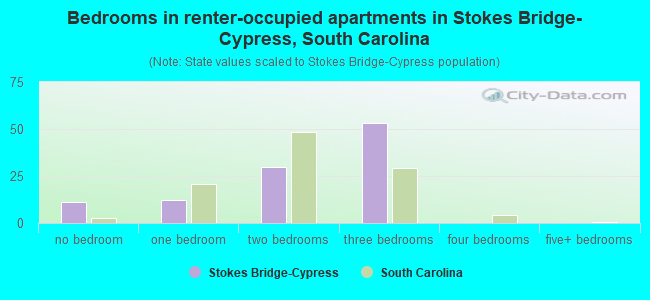 Bedrooms in renter-occupied apartments in Stokes Bridge-Cypress, South Carolina