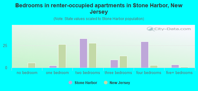 Bedrooms in renter-occupied apartments in Stone Harbor, New Jersey