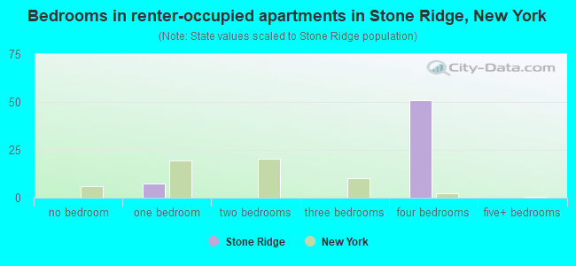Bedrooms in renter-occupied apartments in Stone Ridge, New York