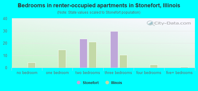 Bedrooms in renter-occupied apartments in Stonefort, Illinois