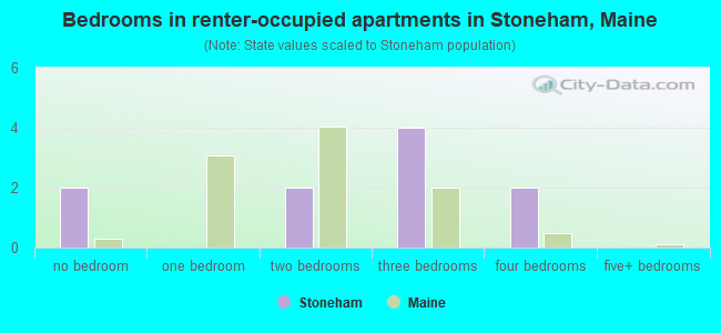 Bedrooms in renter-occupied apartments in Stoneham, Maine