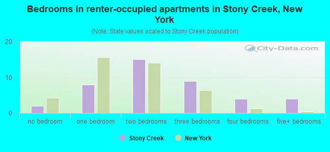 Bedrooms in renter-occupied apartments in Stony Creek, New York