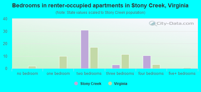 Bedrooms in renter-occupied apartments in Stony Creek, Virginia