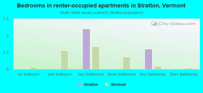 Bedrooms in renter-occupied apartments in Stratton, Vermont