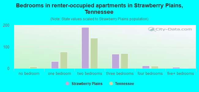Bedrooms in renter-occupied apartments in Strawberry Plains, Tennessee