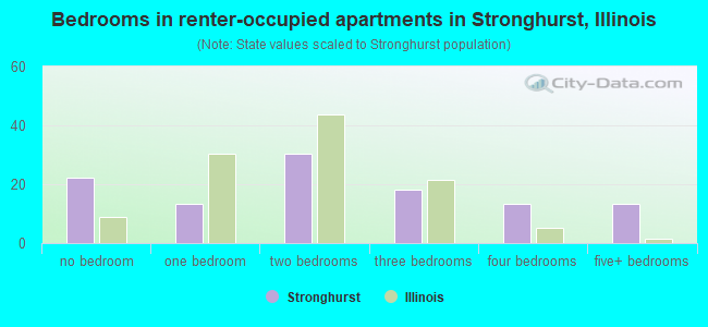 Bedrooms in renter-occupied apartments in Stronghurst, Illinois