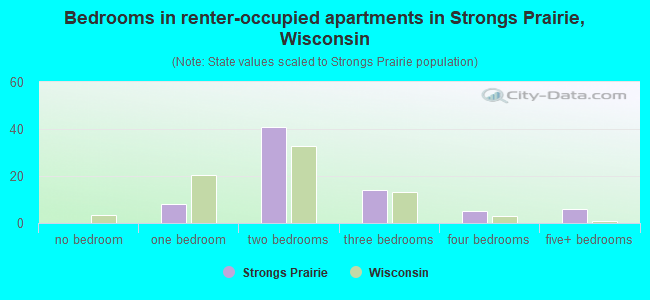 Bedrooms in renter-occupied apartments in Strongs Prairie, Wisconsin