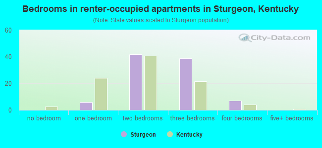 Bedrooms in renter-occupied apartments in Sturgeon, Kentucky