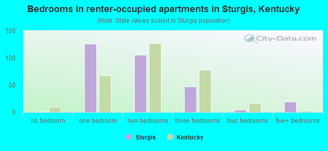Bedrooms in renter-occupied apartments in Sturgis, Kentucky