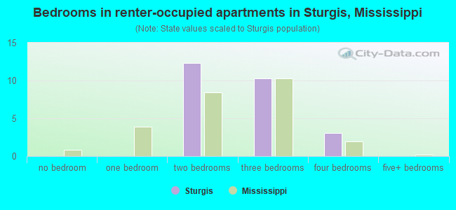 Bedrooms in renter-occupied apartments in Sturgis, Mississippi