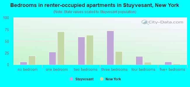 Bedrooms in renter-occupied apartments in Stuyvesant, New York